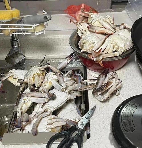 吃吐了？杭州人最爱的它价格持续走低，肉制品及副产品加工迎来旺季