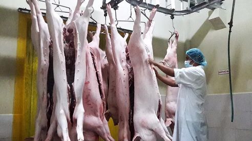 筑牢安全防线 肉制品加工厂的卫生设施与管理实践