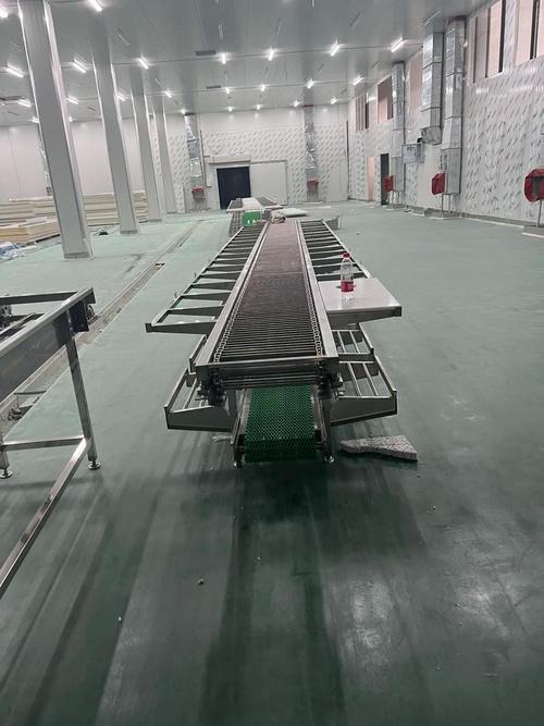 屠宰分割输送线 肉类加工行业的核心驱动力与进阶之路