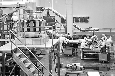 视觉新闻 肉制品及副产品加工的现代化转型